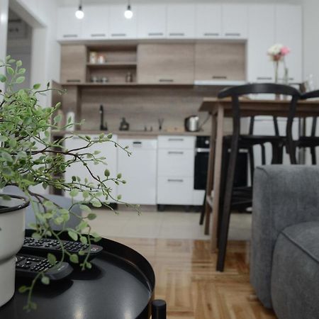 Apartment Dobraya Grey Novi Sad Buitenkant foto