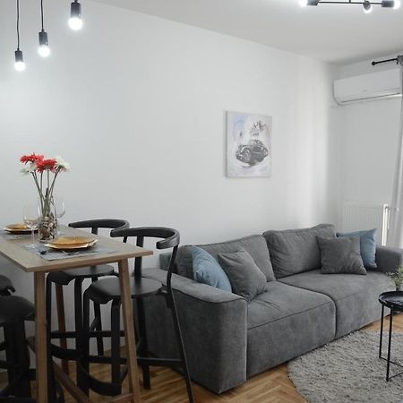 Apartment Dobraya Grey Novi Sad Buitenkant foto