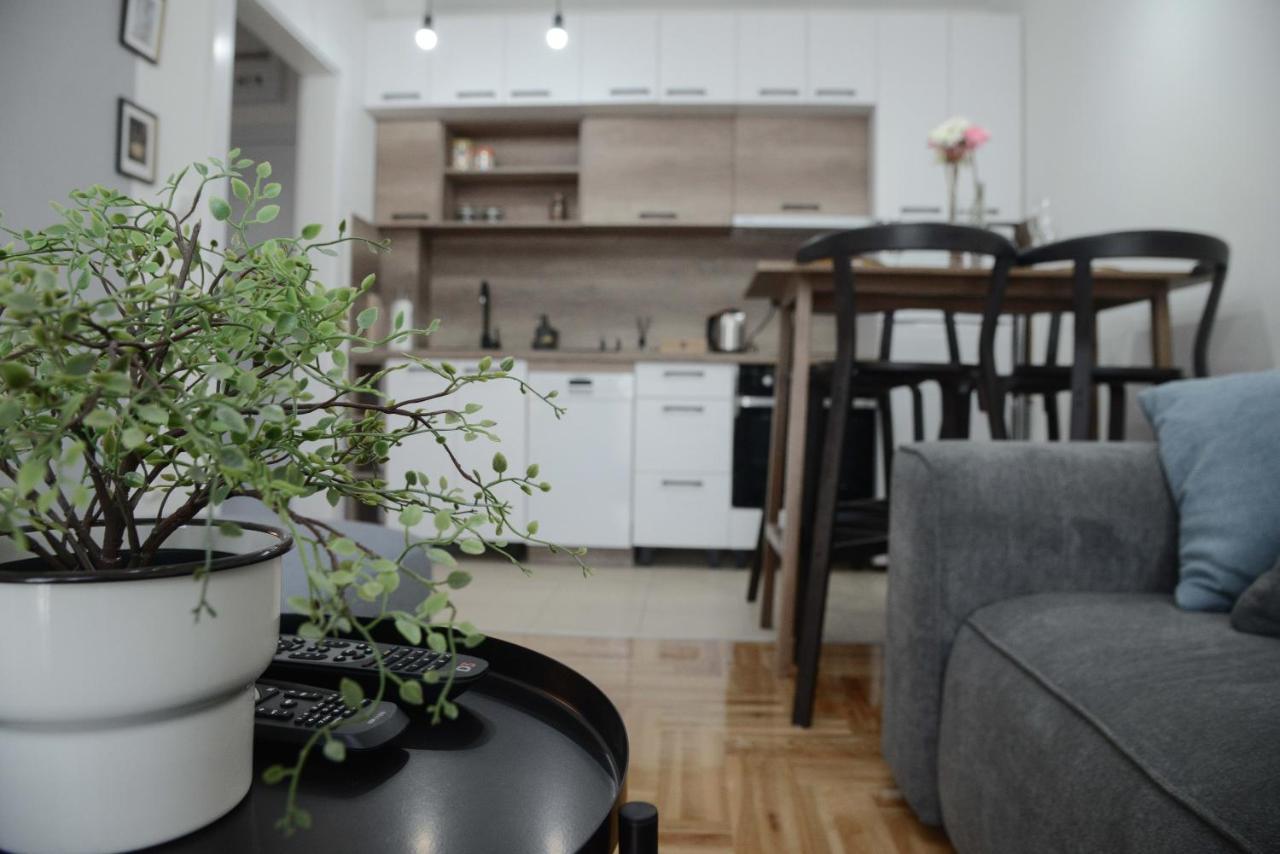 Apartment Dobraya Grey Novi Sad Buitenkant foto