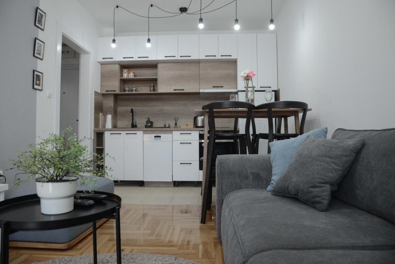 Apartment Dobraya Grey Novi Sad Buitenkant foto